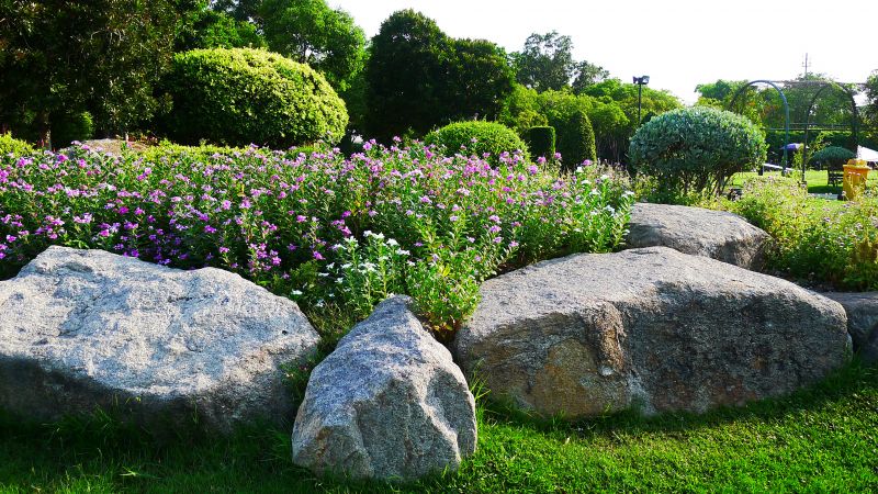 Landscape Rock Removal
