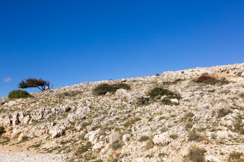 Cost of Landscape Rock Removal — Cost of Landscape Rock Removal