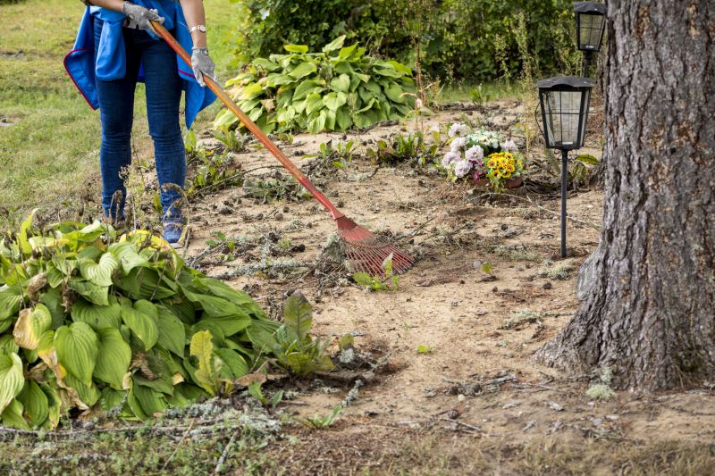 Land Preparation Service in Salt Lake City, UT