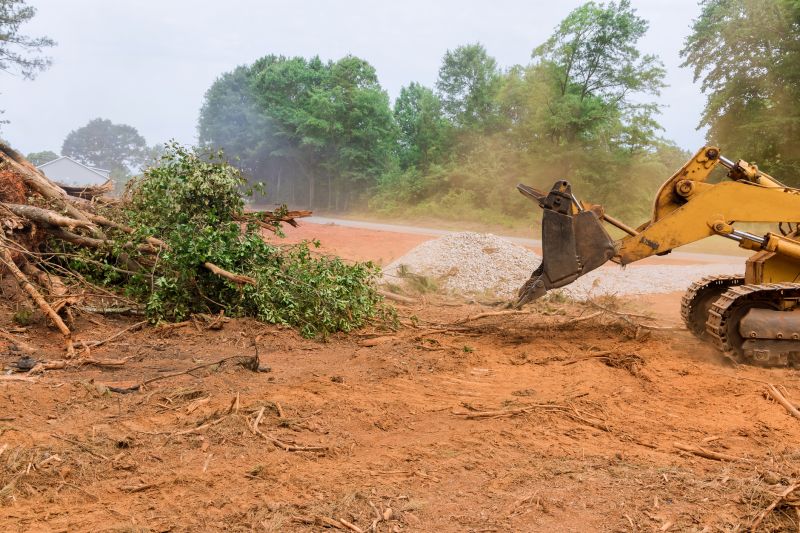 Site Clearing Service in Atlanta, GA
