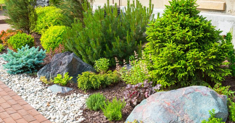 Get Professional Landscape Rock Removal To Prepare for Redesign or Renovation!