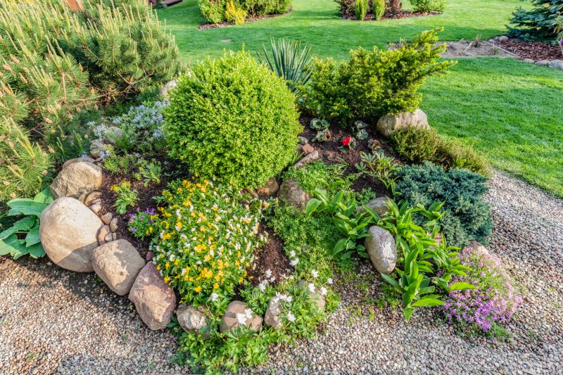Get Professional Landscape Rock Removal To Prevent Weed Growth!